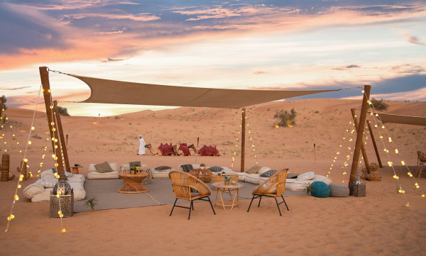 Desert Wonderland