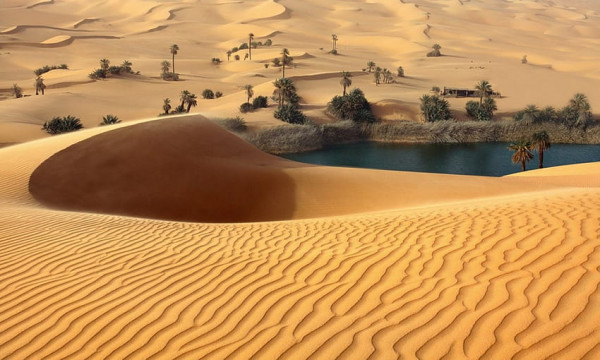 Sandboarding Thrills