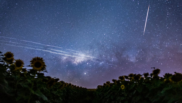 Desert Starlight Astronomy Night