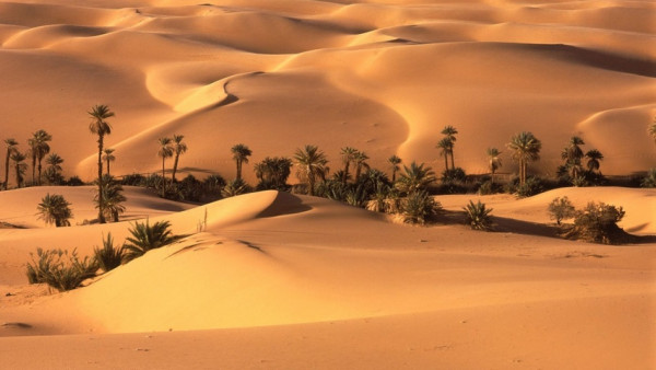 Dune Photography Safaris