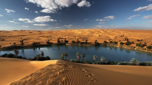 Arabian Nights Camping Experience
